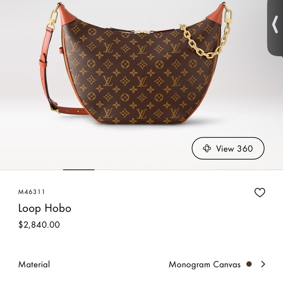 Louis Vuitton Hobo bag - Picture 10 of 10